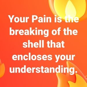 Meet your Posher, Lulu